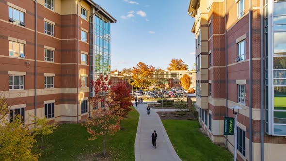 Board oversight in meeting